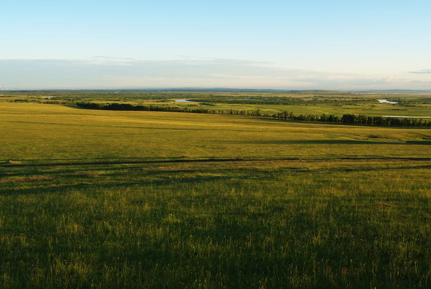 Grassland horizons