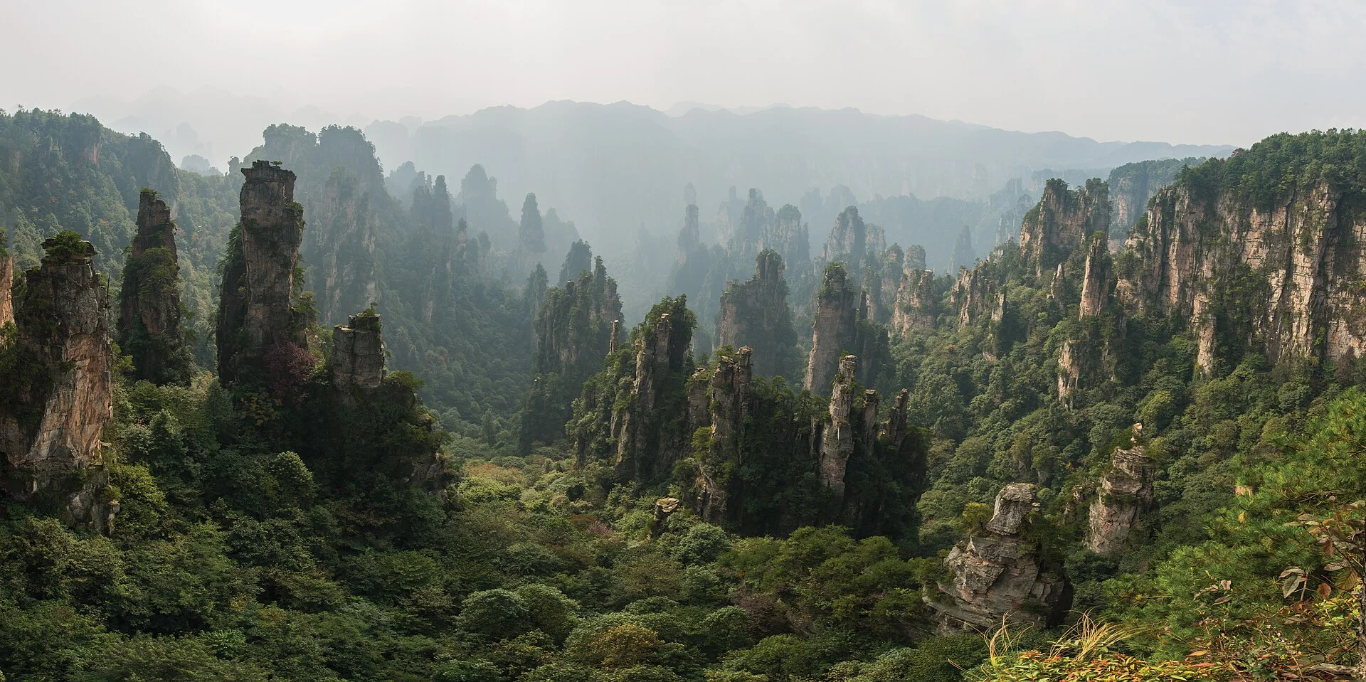 Sandstone forest